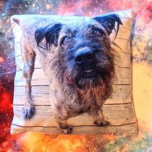 Miniature Throw Pillow Dog Lovers Airedale Terrier Browniedog